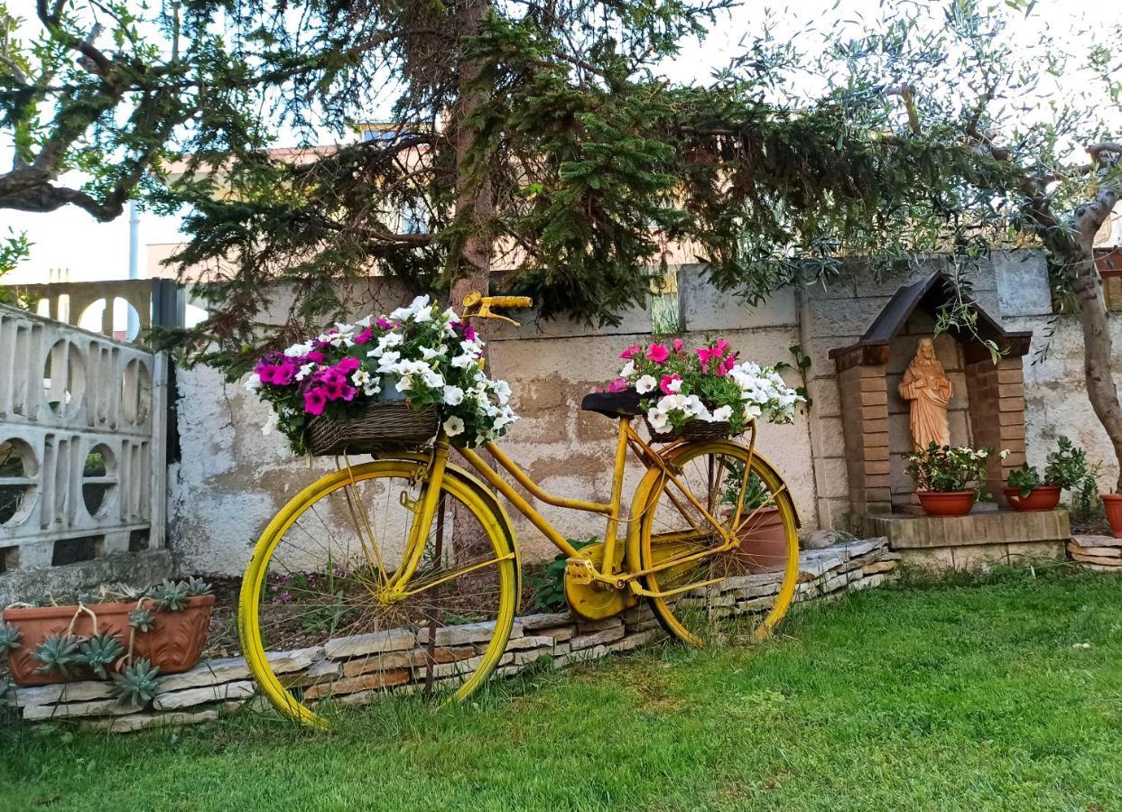 Bed and Breakfast Goccia Azzurra Silvi Marina Exterior foto