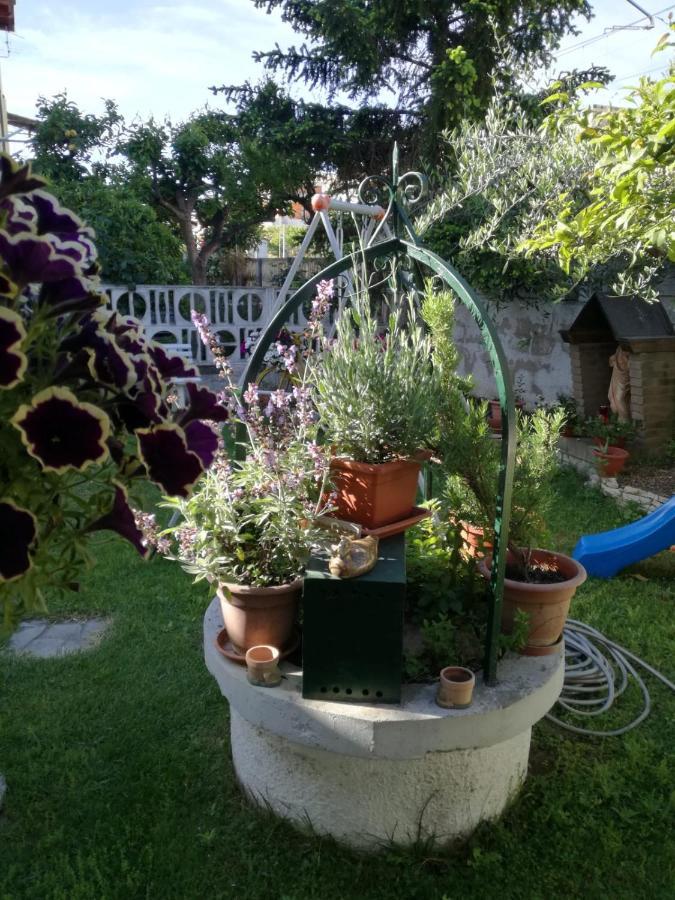 Bed and Breakfast Goccia Azzurra Silvi Marina Exterior foto